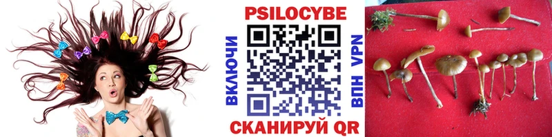 Галлюциногенные грибы Psilocybe  мориарти телеграм  Славянск-на-Кубани  OMG как войти 